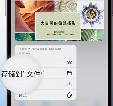 绥阳apple维修中心分享iPhone文件应用中存储和找到下载文件