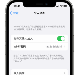 绥阳apple服务站点分享iPhone上个人热点丢失了怎么办 