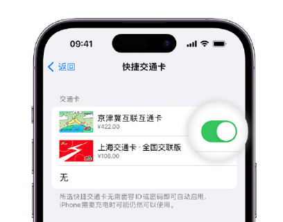 绥阳apple维修点分享iPhone上更换Apple Pay快捷交通卡手绘卡面 