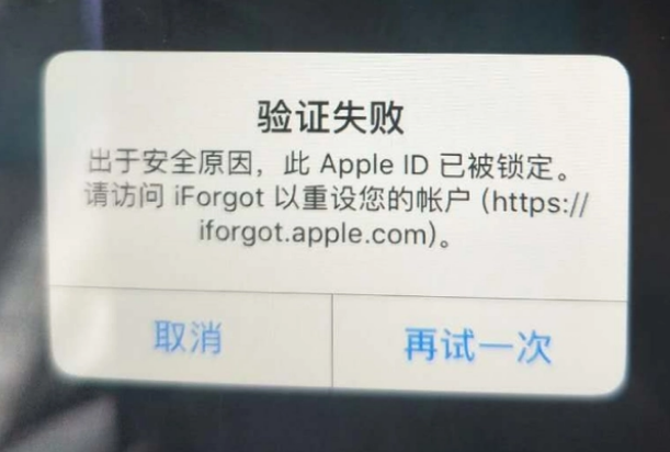 绥阳iPhone维修分享iPhone上正常登录或使用AppleID怎么办 