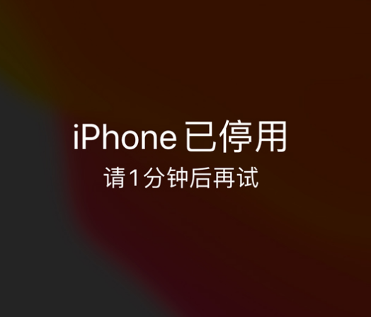 绥阳苹果手机维修分享:iPhone 显示“不可用”或“已停用”怎么办？还能保留数据吗？ 