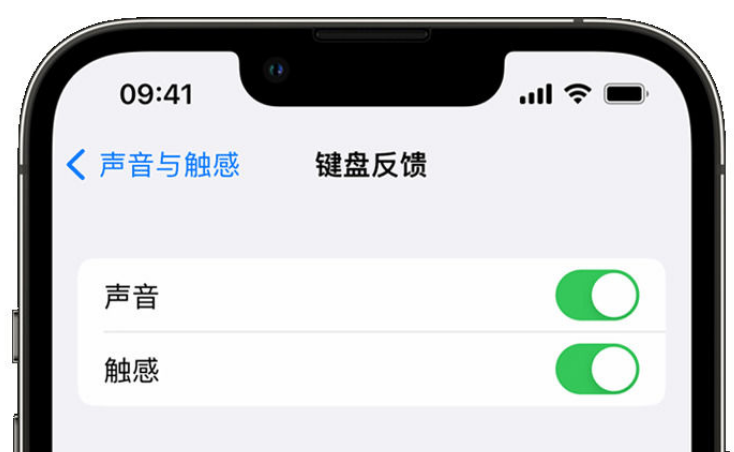 绥阳苹果手机维修分享iPhone 14触感键盘使用方法 