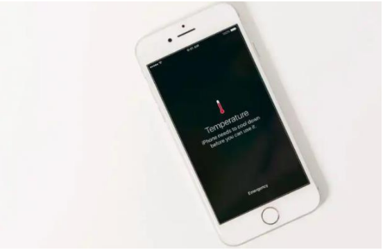 绥阳苹果手机维修分享iPhone 手机发热如何快速降温 