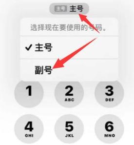 绥阳苹果14维修店分享iPhone 14 Pro Max使用副卡打电话的方法 