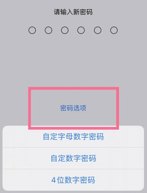 绥阳苹果14维修分享iPhone 14plus设置密码的方法 