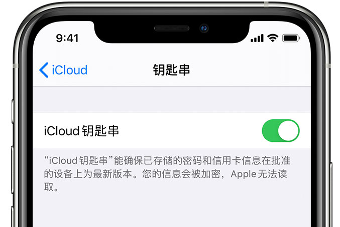 绥阳苹果手机维修分享在 iPhone 上开启 iCloud 钥匙串之后会储存哪些信息 